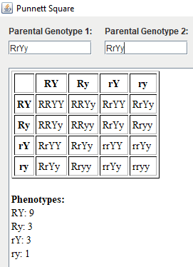 punnet square calculator