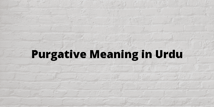 purgative meaning in telugu