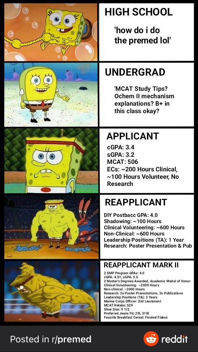 r premed