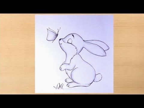 rabbit pencil drawing images