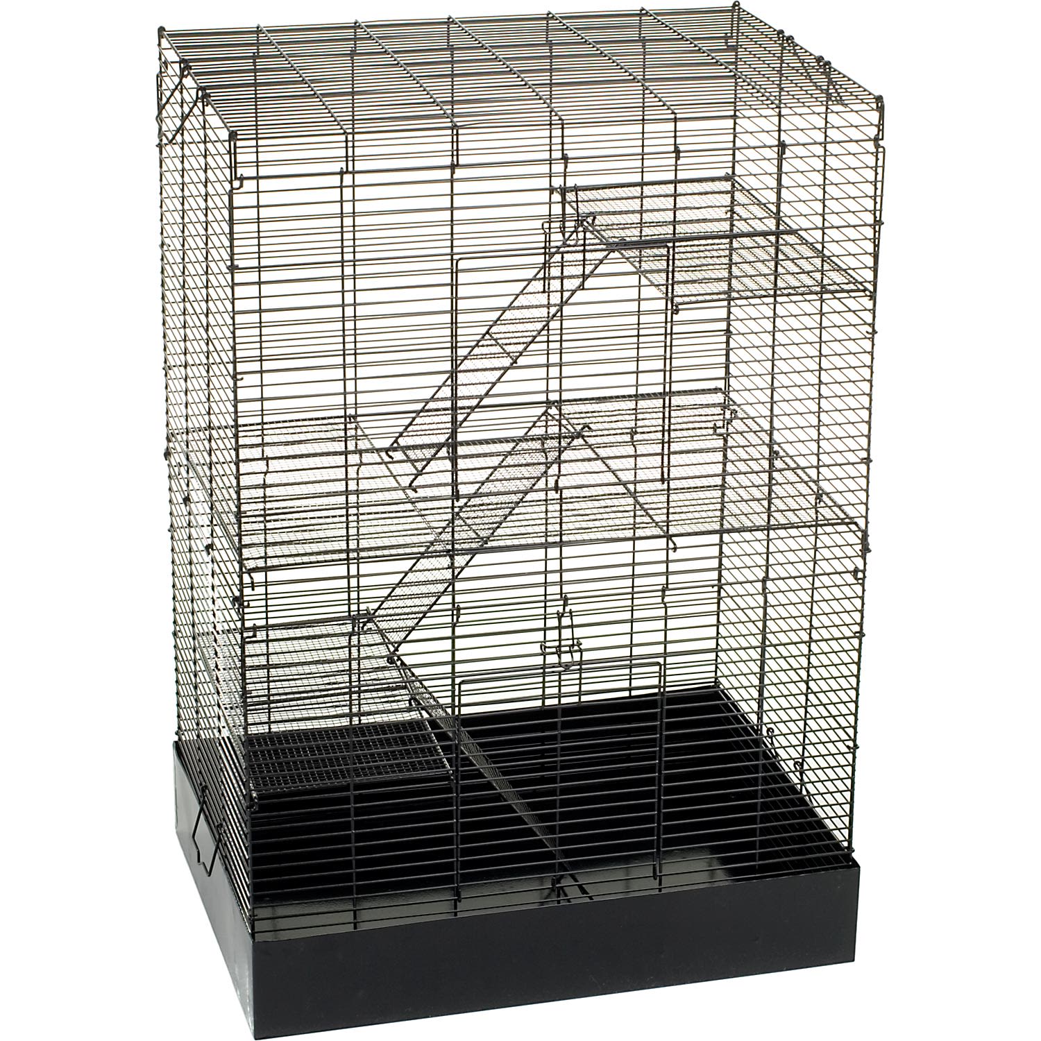 rats and cage for sale