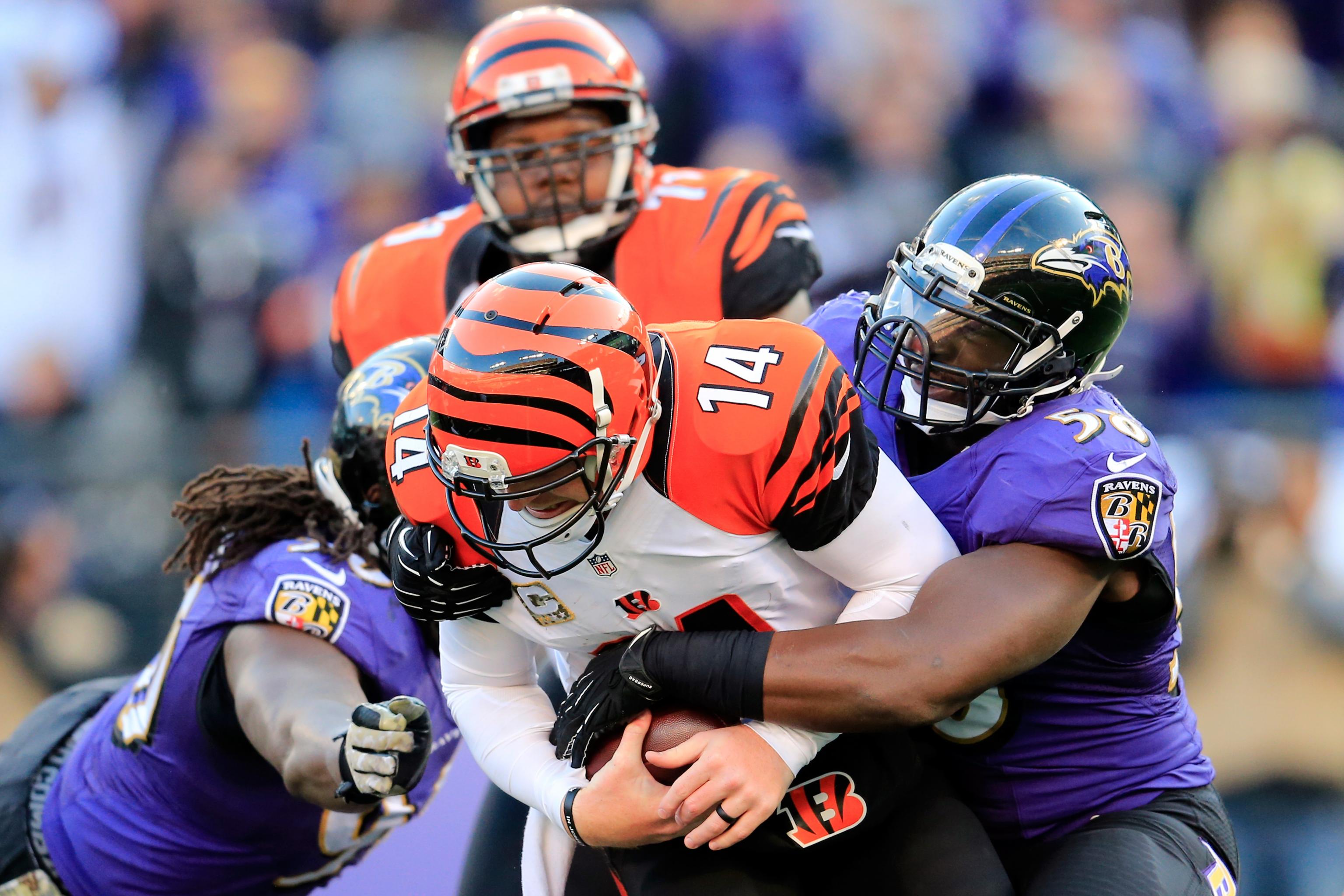 ravens vs bengals odds shark