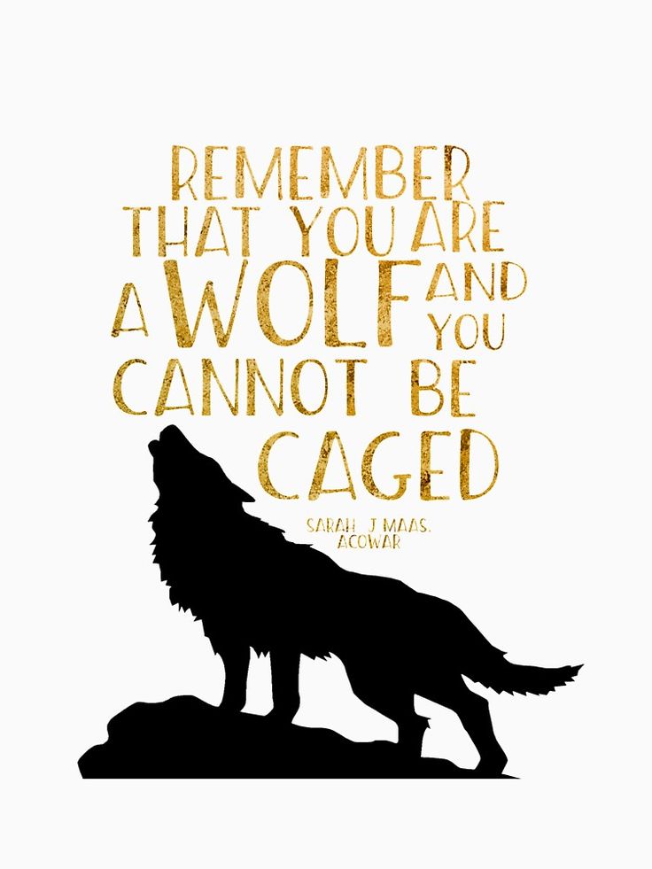 remember that you are a wolf and cannot be caged