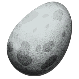 rex egg