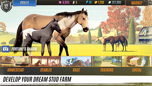 rival stars horse racing