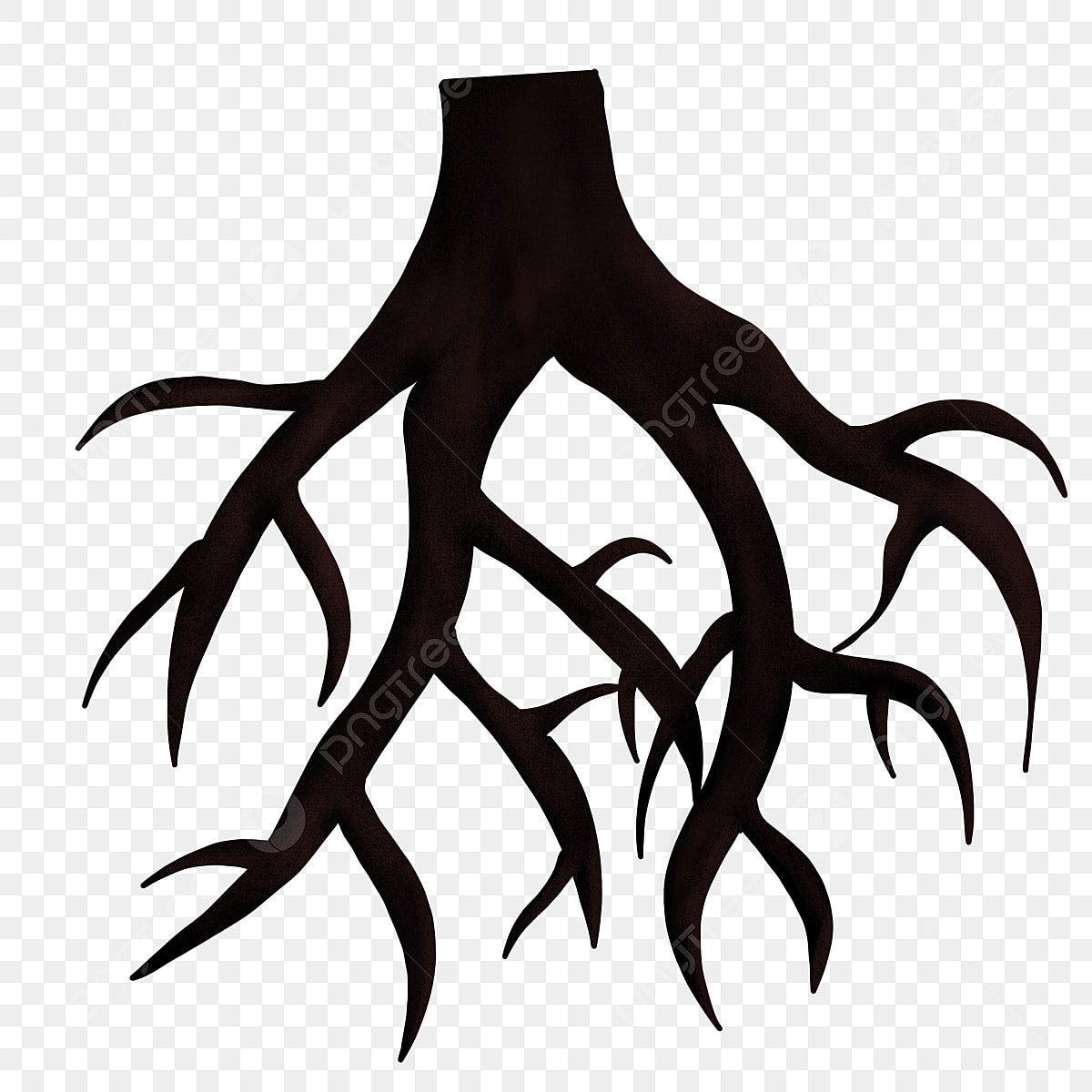 roots clipart