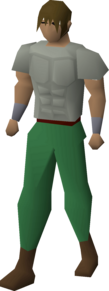 rs3 fighter torso