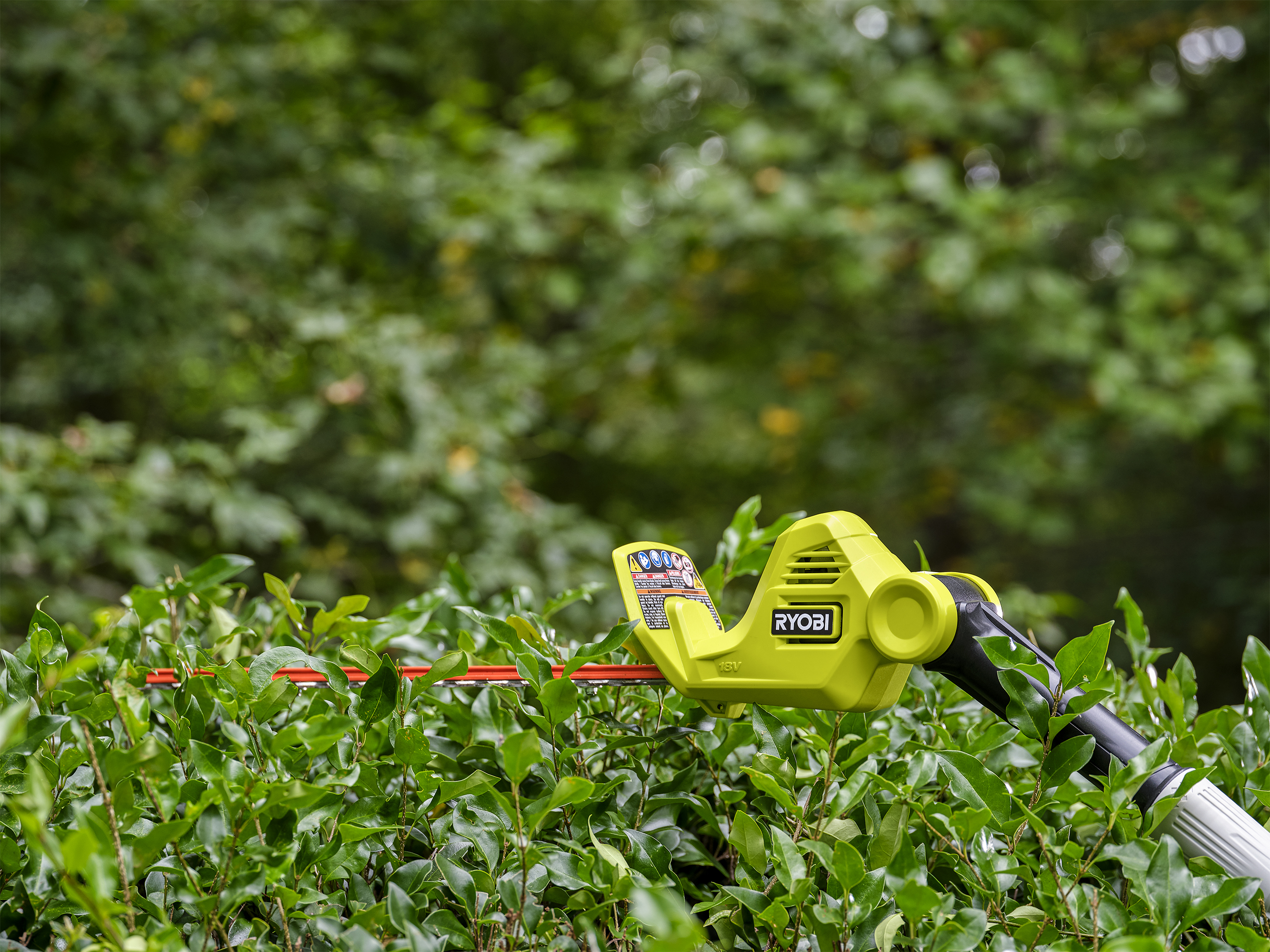 ryobi hedge trimmer