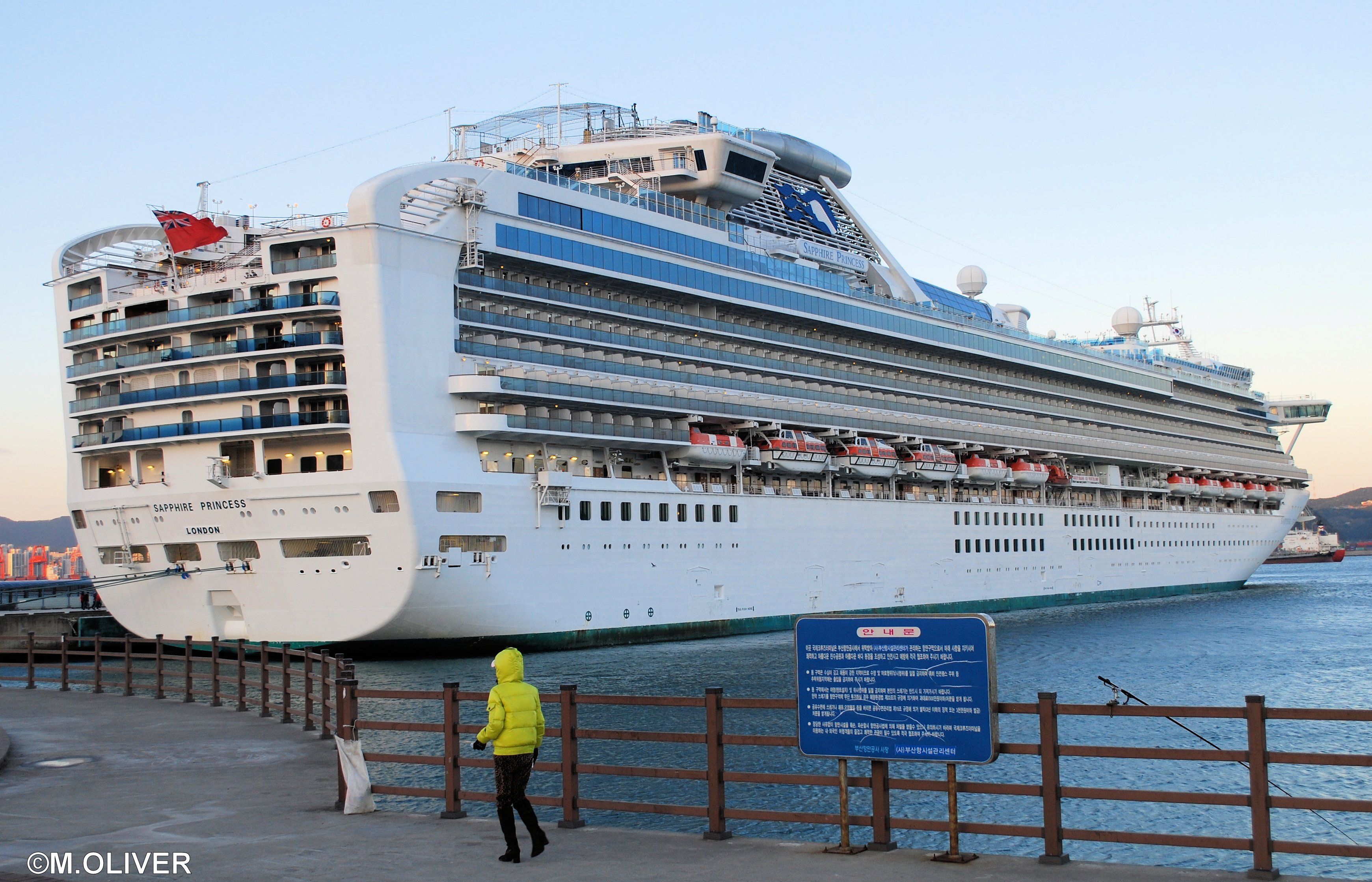 sapphire princess ship reviews