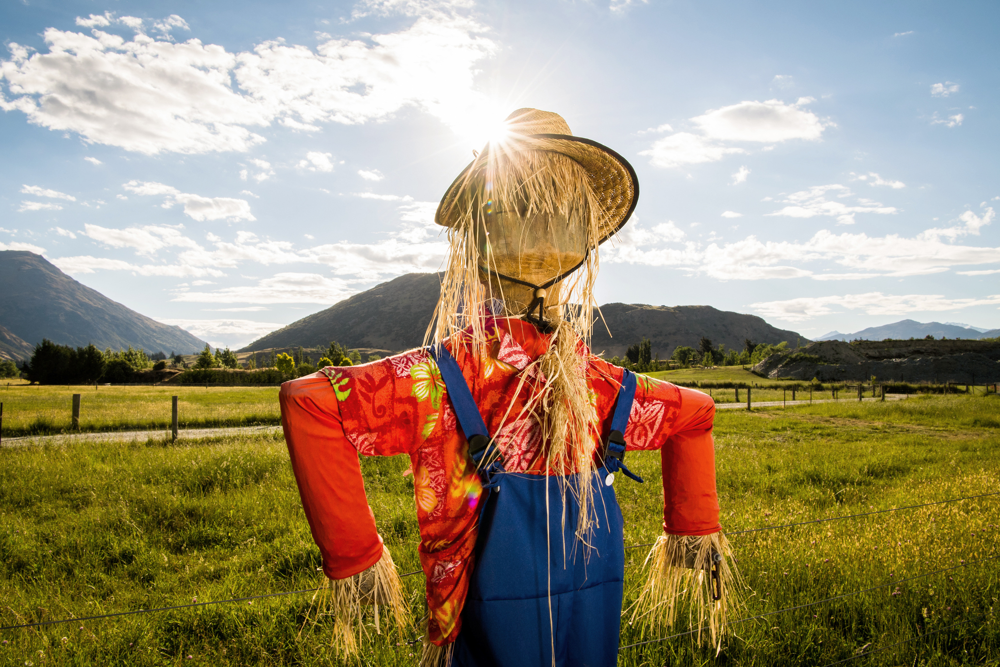 scarecrow photos