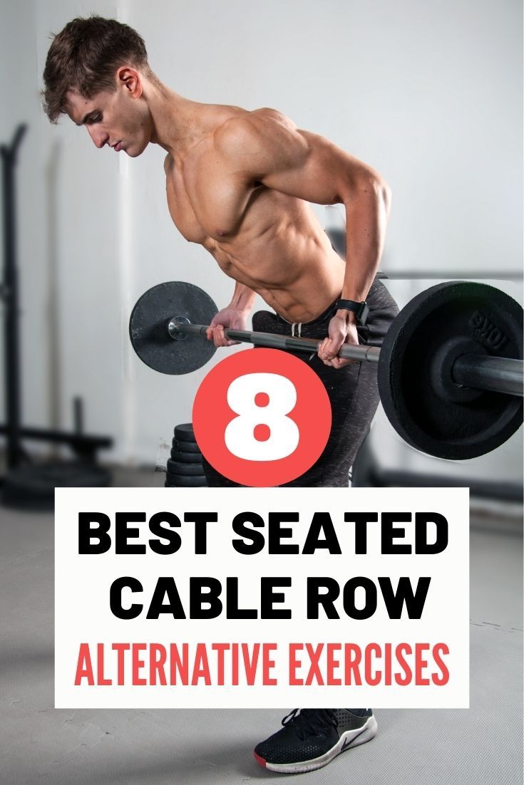 seated cable row alternative