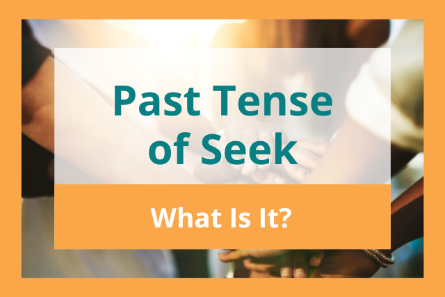 seek in the past tense