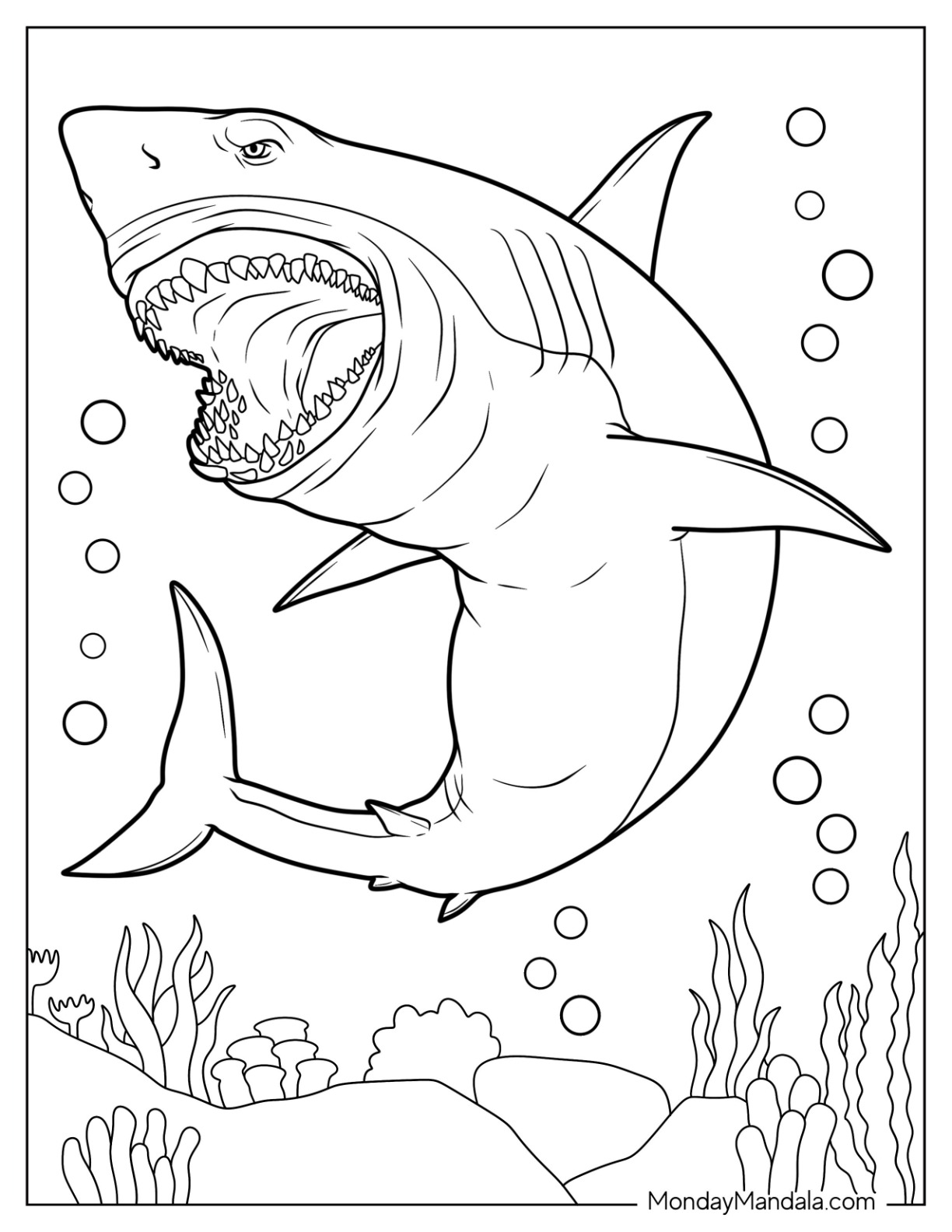 shark colouring page