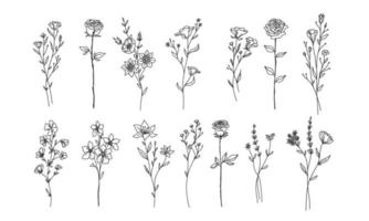 simple line drawings of flowers