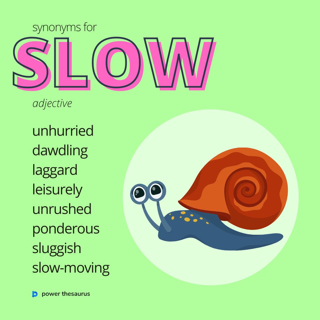 slow synonym