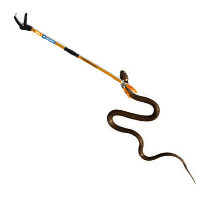 snake catcher stick 6 feet
