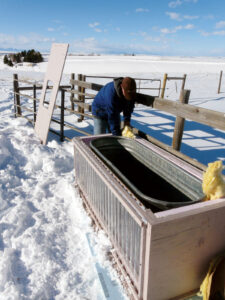 solar horse trough heater