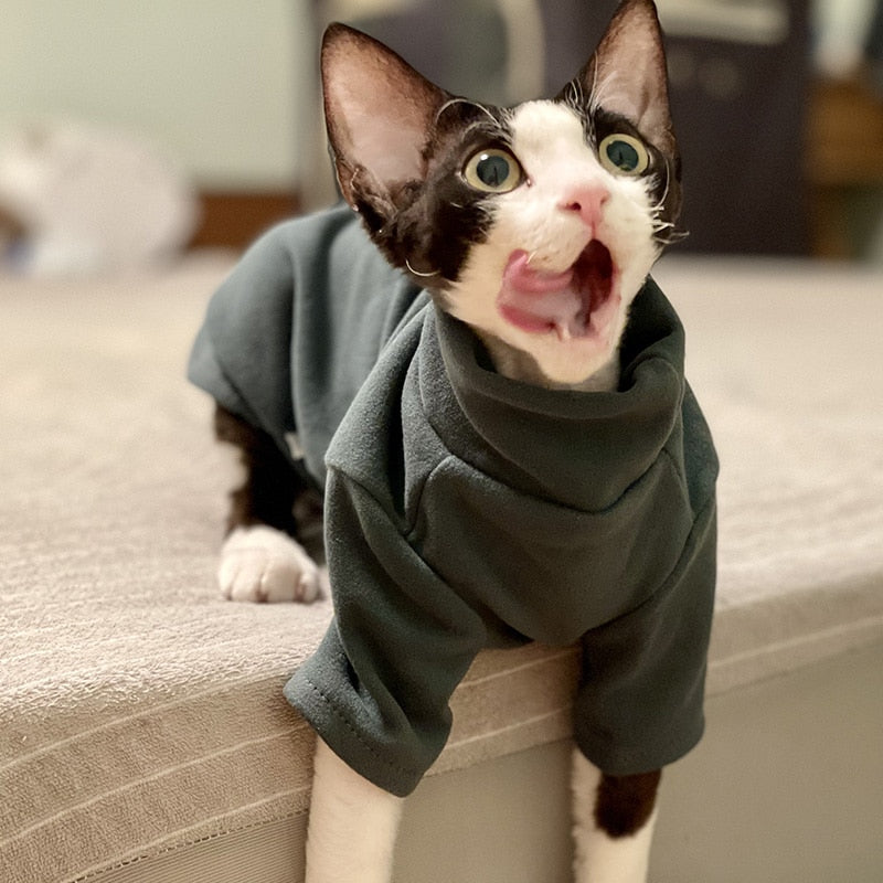 sphynx cat wear