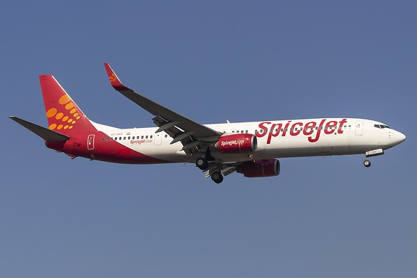 spicejet flight status