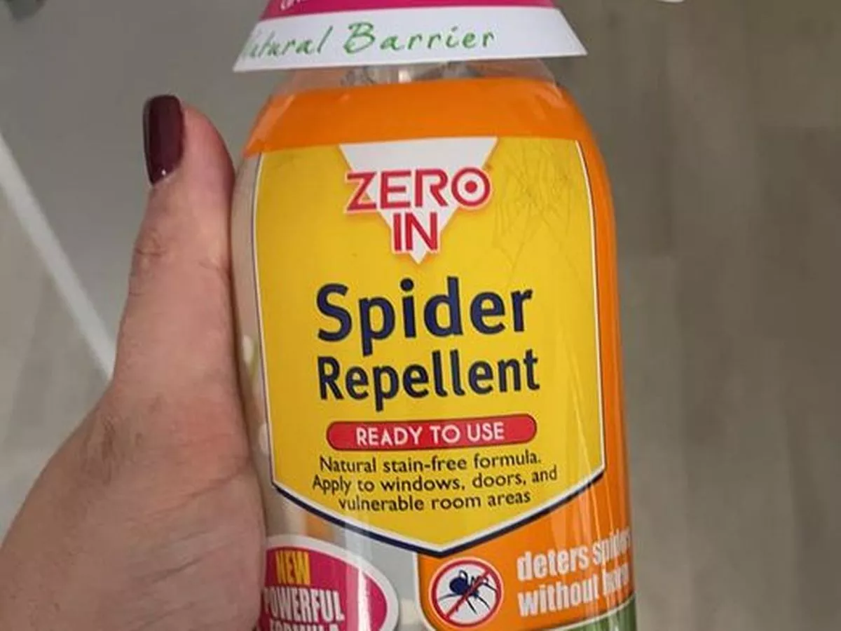 spider spray aldi