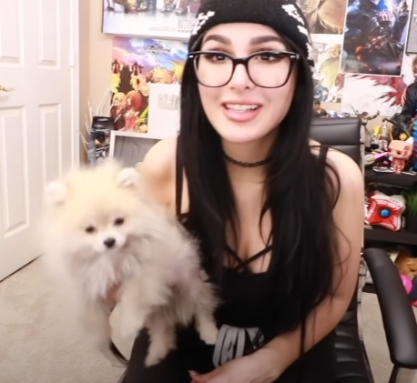 sssniperwolf dog