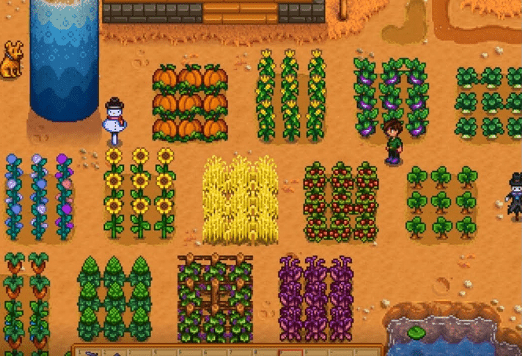 stardew best fall crop