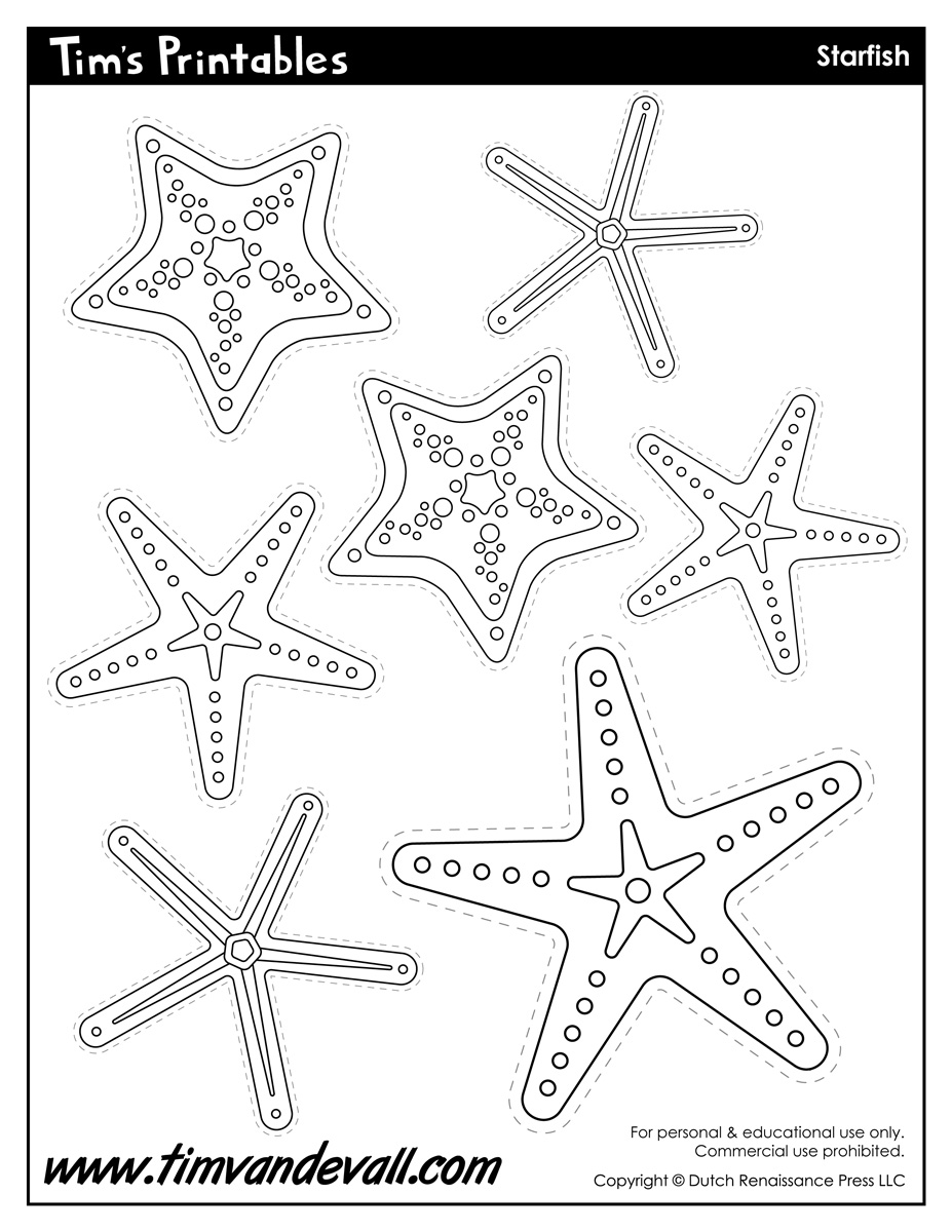 starfish template to print