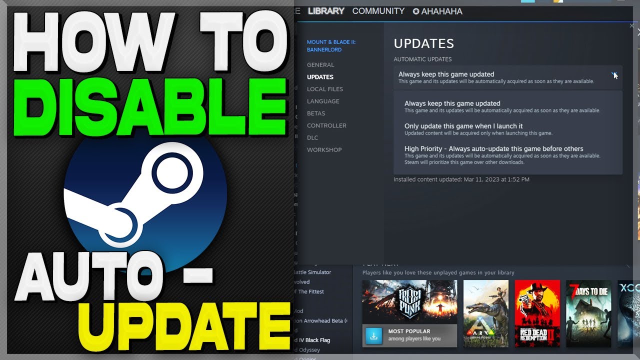 steam disable auto update