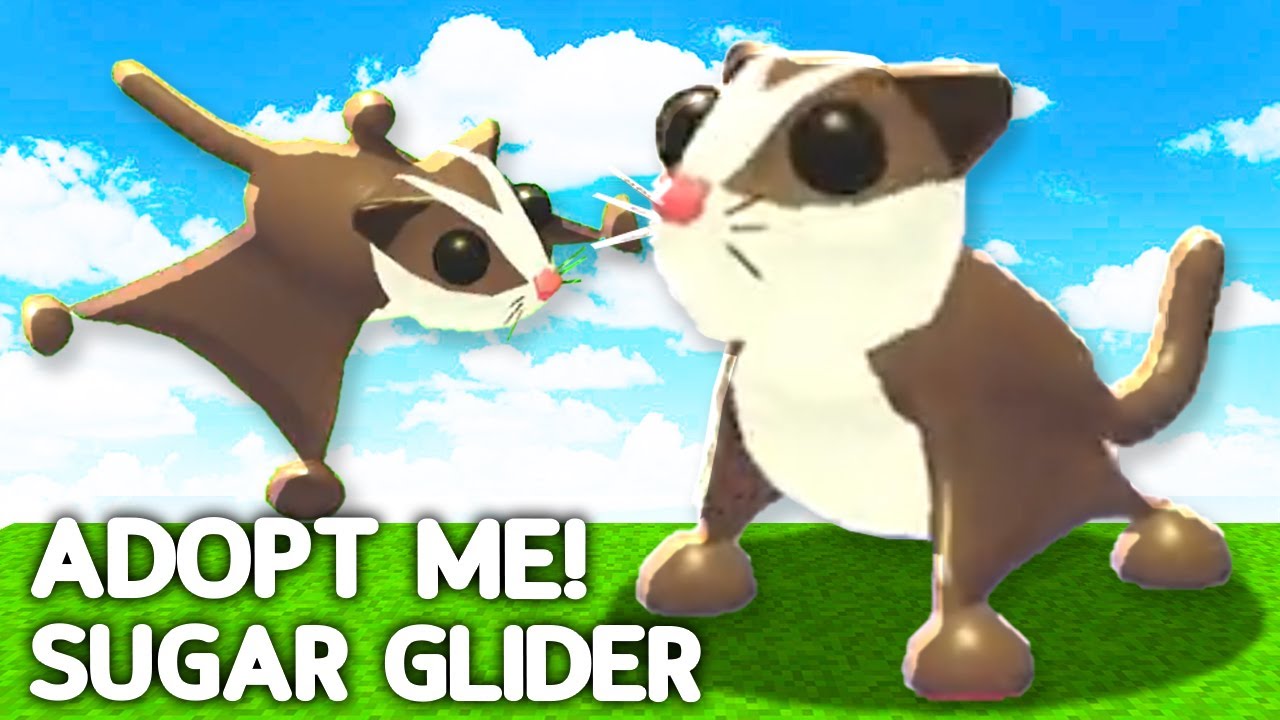 sugar glider adopt me