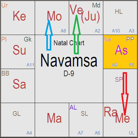 sun ketu conjunction in navamsa