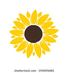 sunflower vector illustration