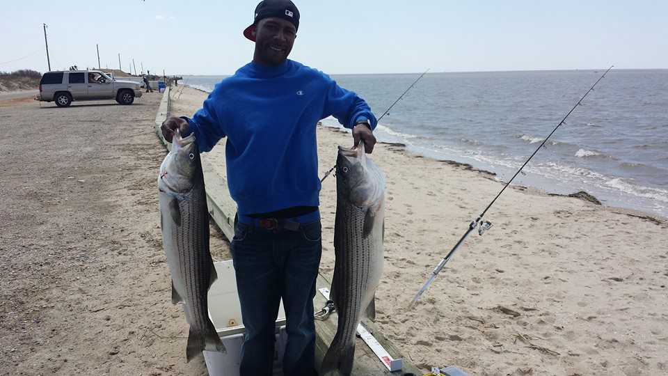 surf fishing report lbi nj