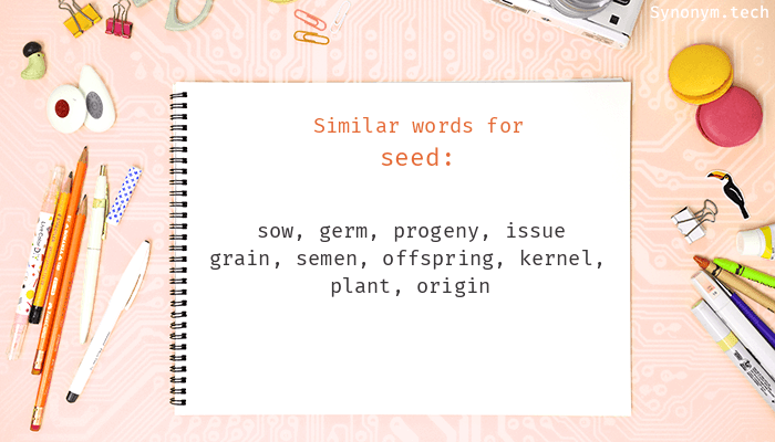 synonyms for seeds