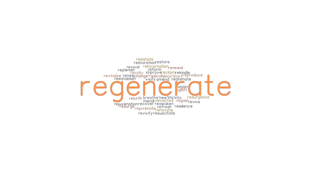 synonyms of regenerate