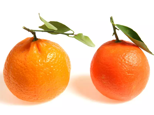 tangerine meaning in hindi