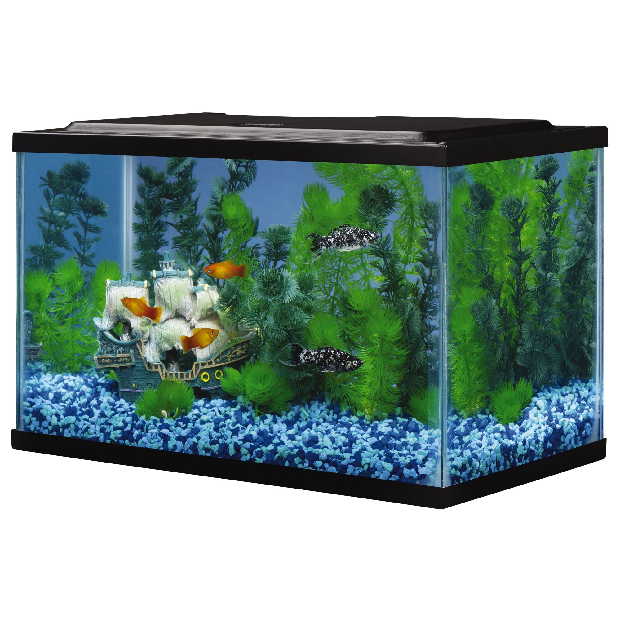 tetra 5 gallon fish tank