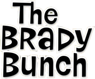 the brady bunch tv series