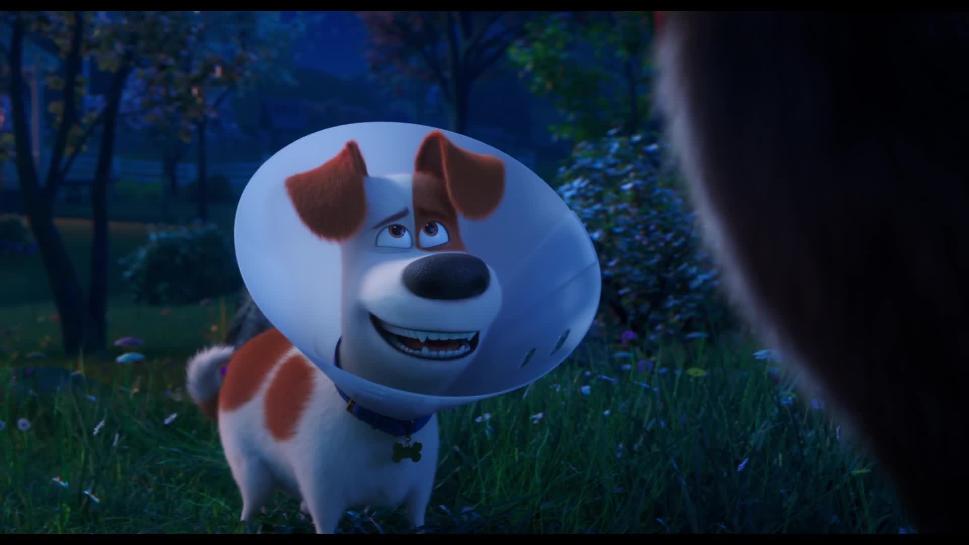 the secret life of pets 2 full movie in hindi