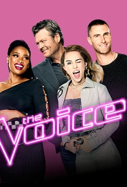 the voice us jury