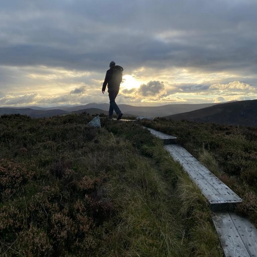 the wandering paddy