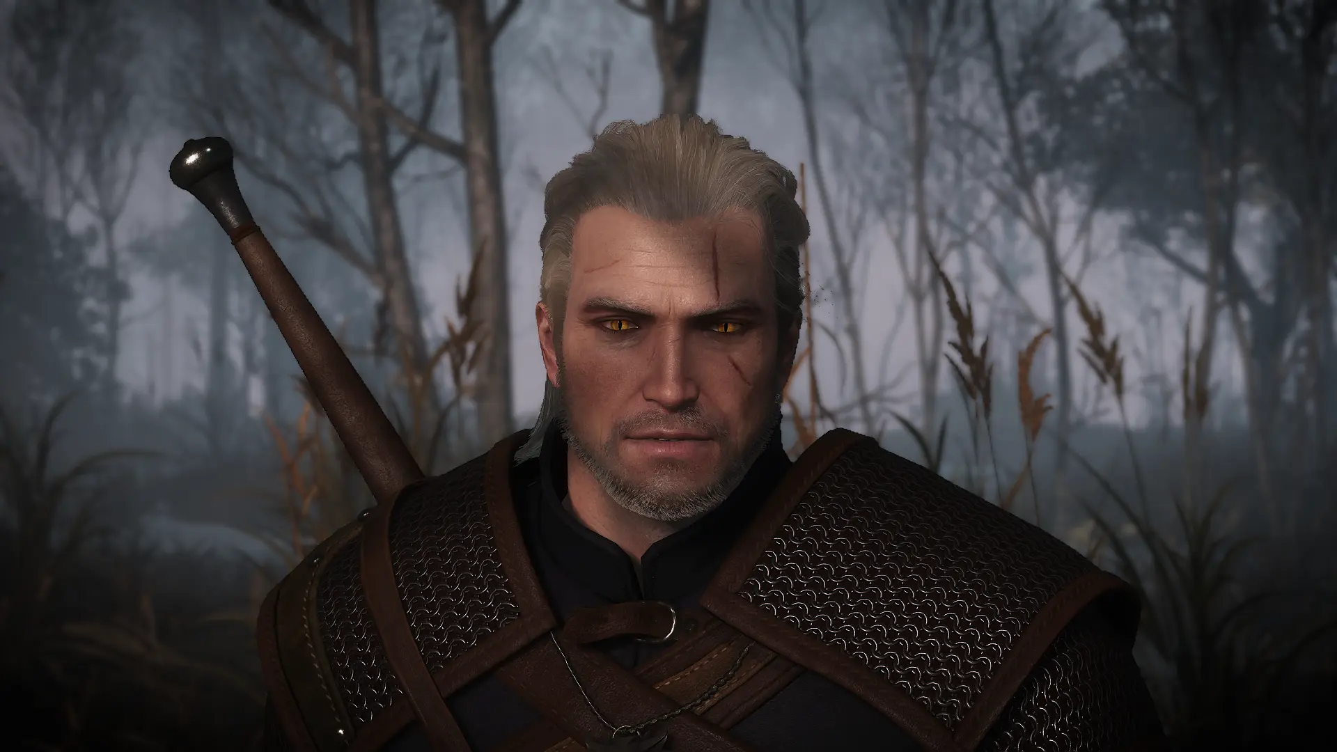 the witcher 3 nexus