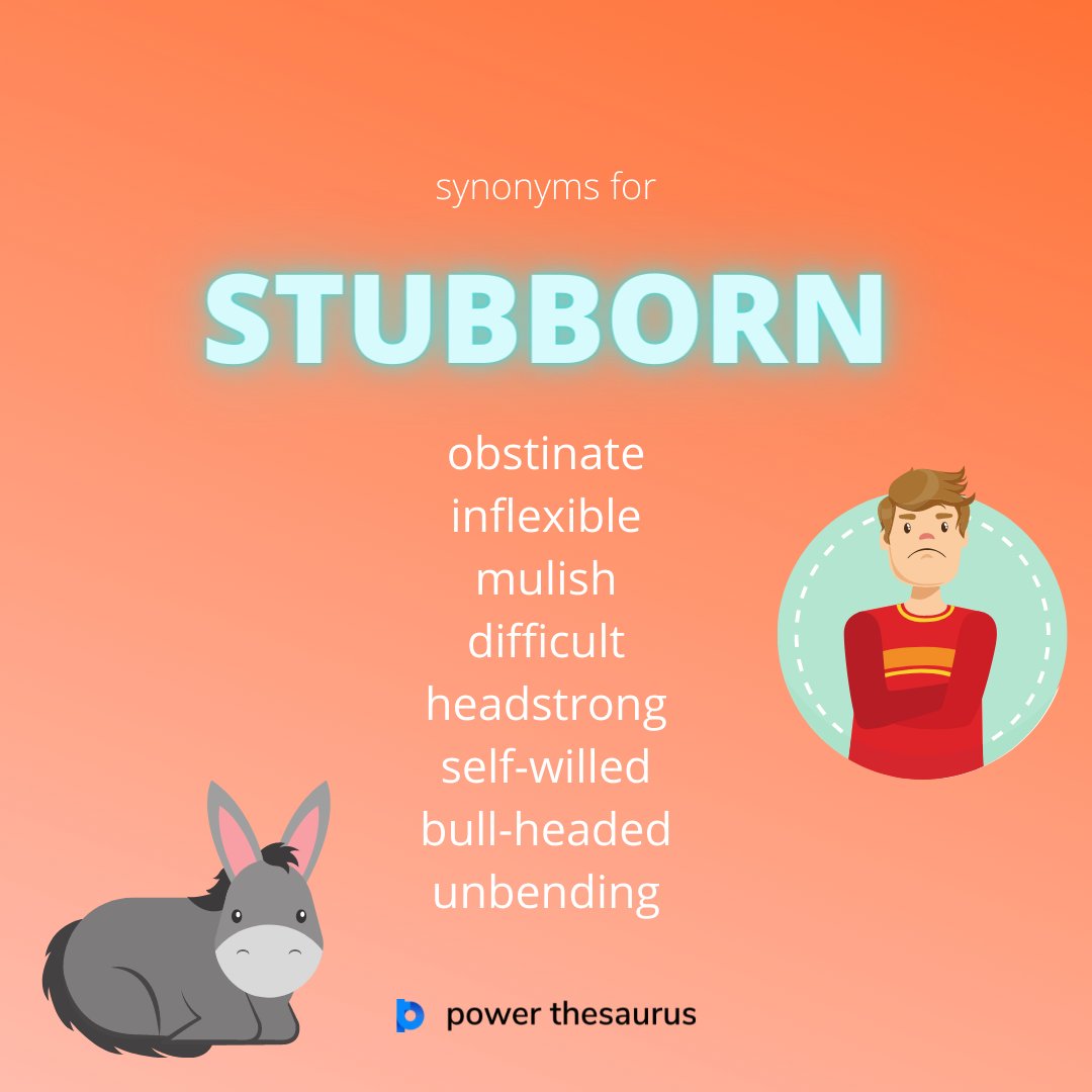 thesaurus rabbit