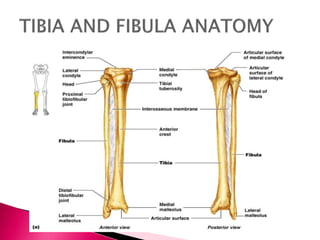 tibia fibula fracture icd 10