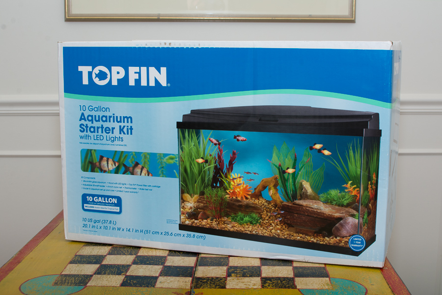 topfin aquarium