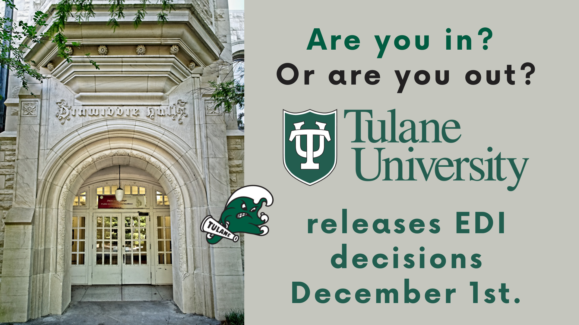 tulane university application status