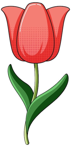 tulip cartoon