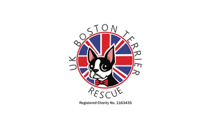 uk boston terrier rescue