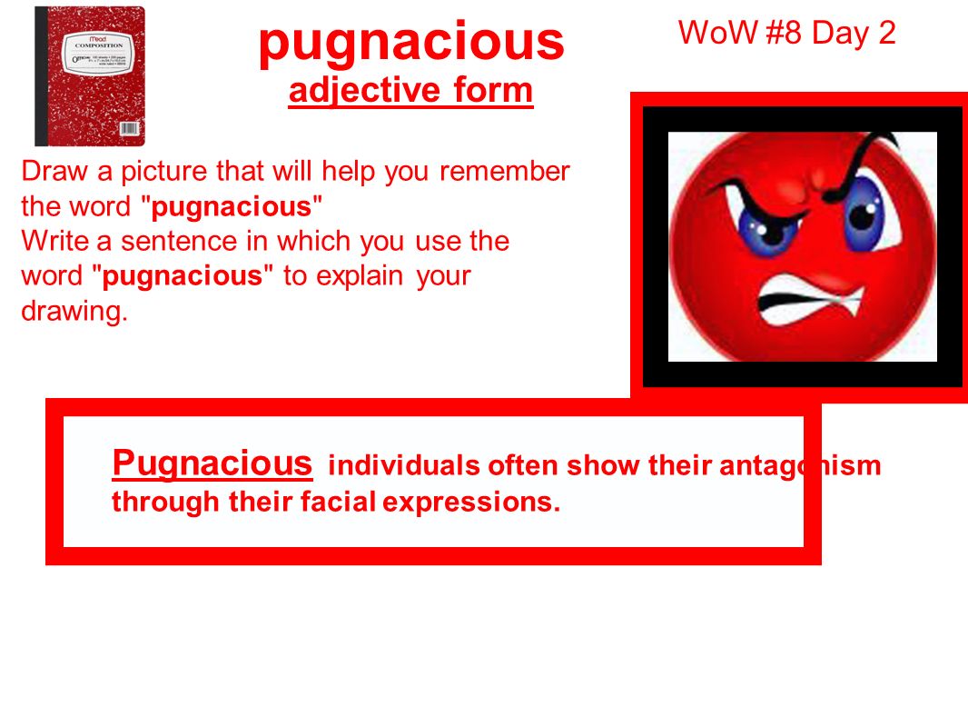 use pugnacious in a sentence