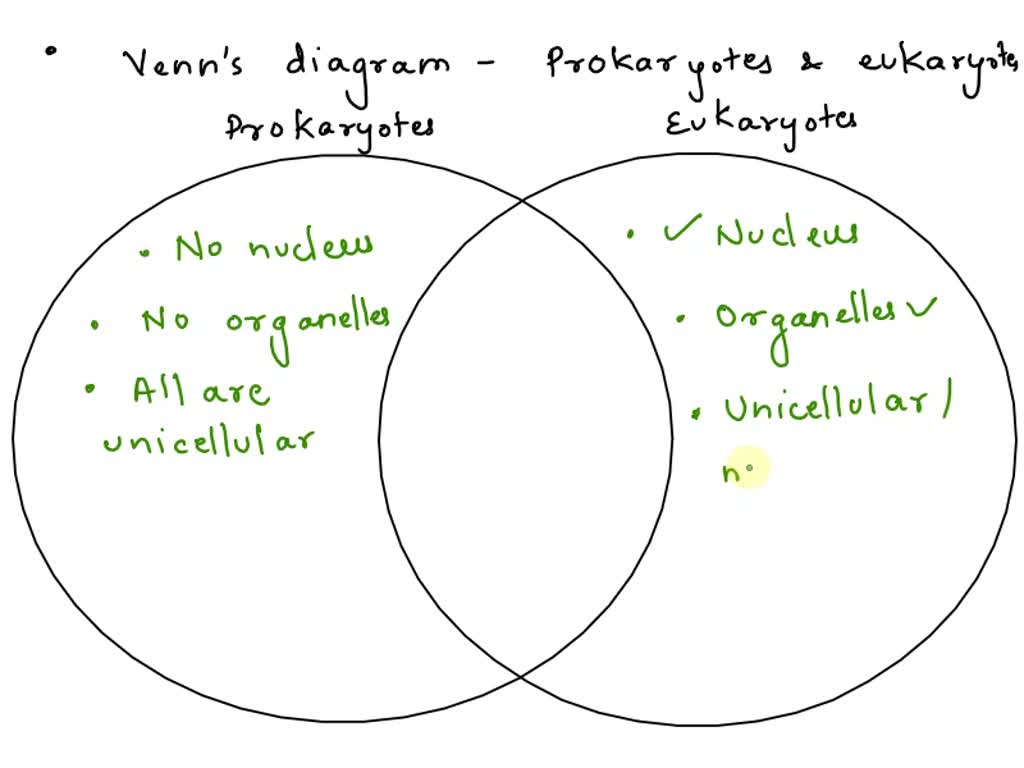 venn diagram for prokaryotes and eukaryotes