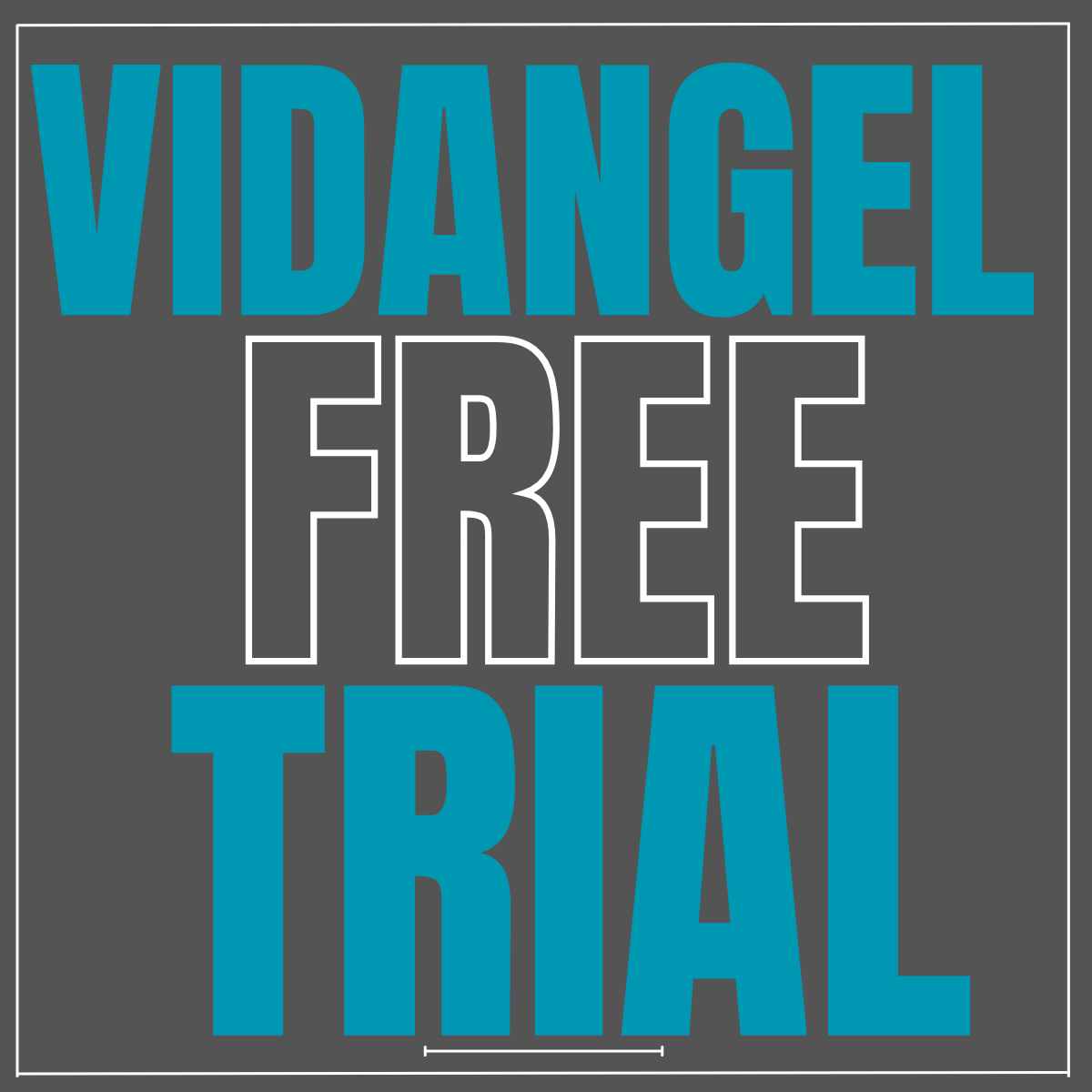 vidangel coupon code